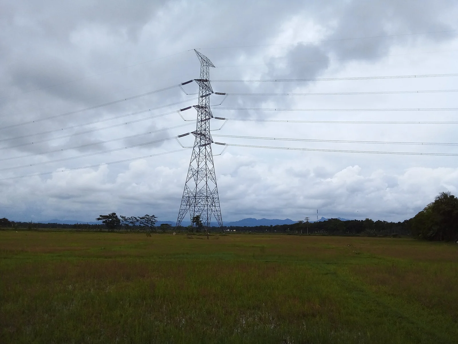 Menara listrik tegangan ekstra tinggi berdiri di tengah sawah