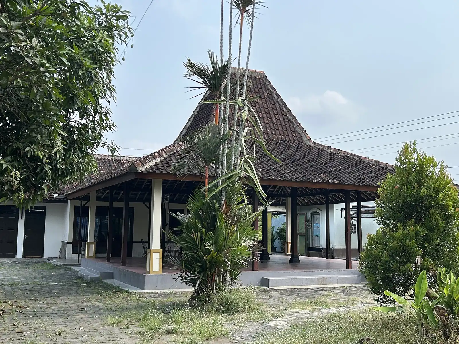 Teras rumah joglo terbuka dengan pohon dan tanaman di halaman depan