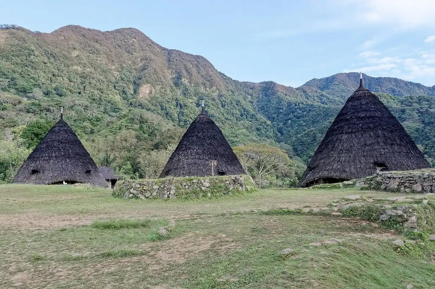 Rumah adat kerucut beratap ijuk di Desa Wae Rebo dikelilingi pegunungan hijau di Flores, Nusa Tenggara Timur