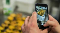 memotret-kue-pakai-hp Tangan memotret deretan kue tart di atas loyang dengan kamera HP