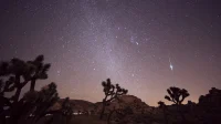 Meteor Taurid di langit Joshua Tree Jejak meteor Taurid melintas di langit berbintang di atas pohon Joshua Tree, California