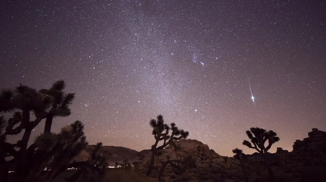 Jejak meteor Taurid melintas di langit berbintang di atas pohon Joshua Tree, California