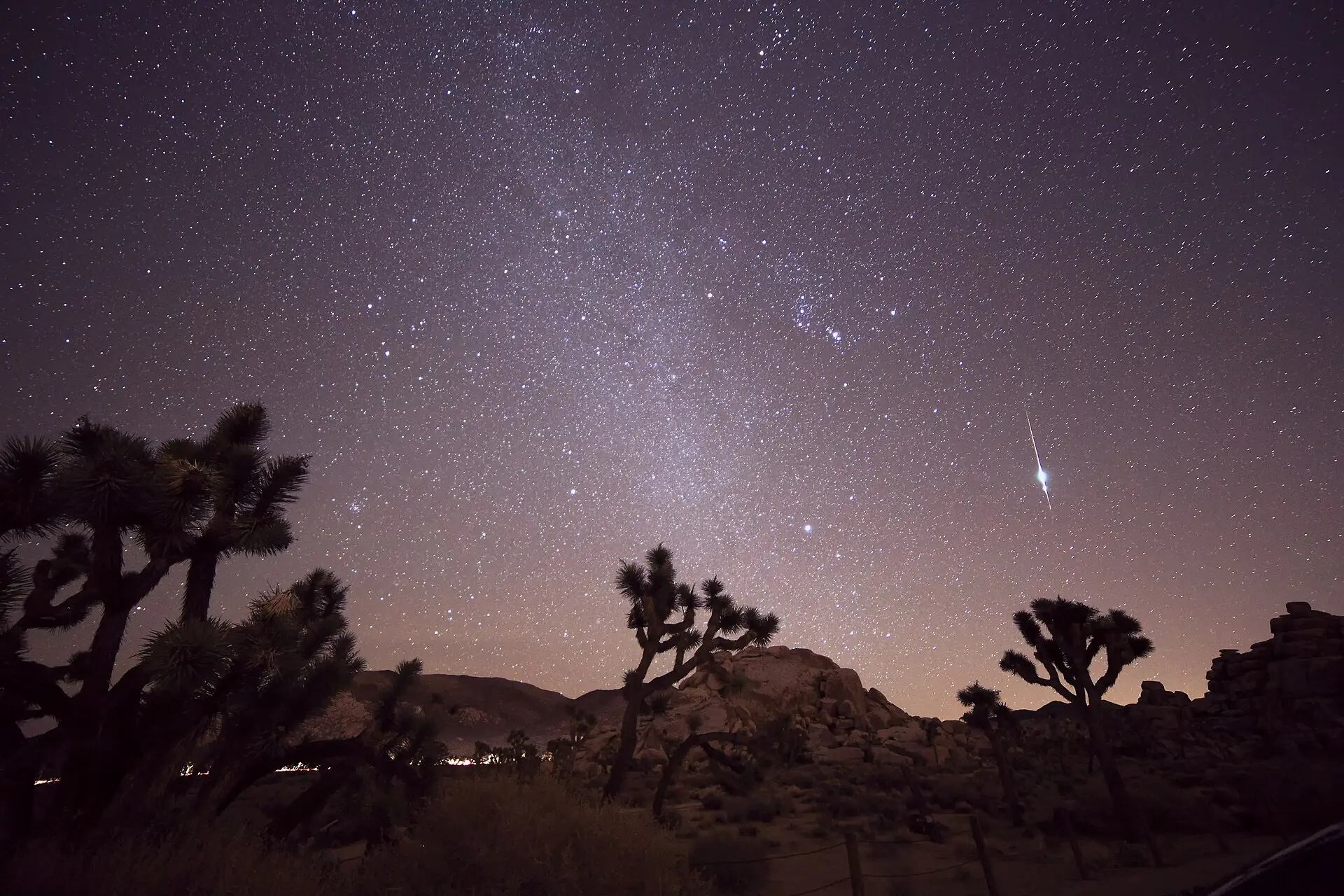 Jejak meteor Taurid melintas di langit berbintang di atas pohon Joshua Tree, California