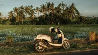 Skuter matic putih-cokelat dengan helm di jok, diparkir di tepi sawah berlatar pohon kelapa
